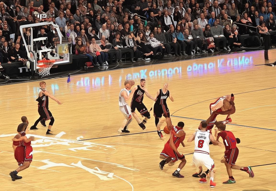 2009年NBA季后赛：热火VS公牛巅峰对决解析(图2)